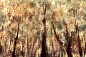 Golden Autumn Forest by Christina Sillen