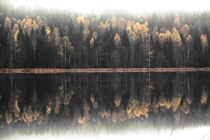 Misty Autumn Reflection by Christina Sillen