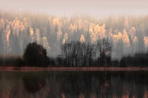 Misty Autumn Reflections by Christina Sillen