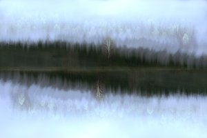 Misty Birch Reflection by Christina Sillen
