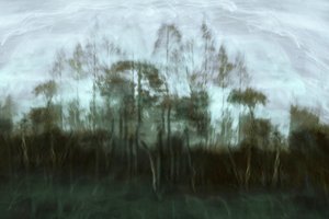 Misty Forest Dream by Christina Sillen