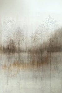 Misty Forest Reflections by Christina Sillen