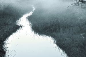 Misty Winding Stream by Christina Sillen