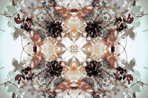 Muted Botanical Kaleidoscope by Christina Sillen