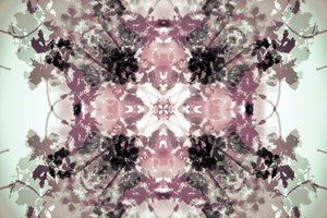 Muted Botanical Symmetry by Christina Sillen