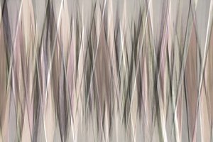 Muted Linear Flow by Christina Sillen