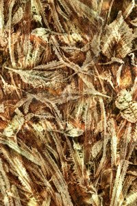 Natural Camouflage Pattern by Christina Sillen