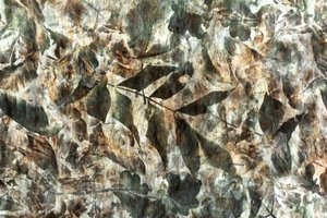 Natural Leaf Pattern by Christina Sillen