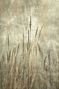 Rustic Tall Grasses by Christina Sillen