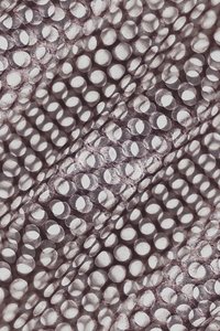Shimmering Circular Pattern by Christina Sillen