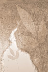 Soft Botanical Glow