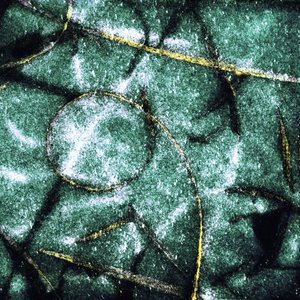 Textured Green Circles by Christina Sillen