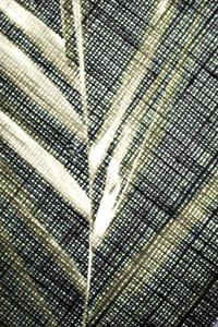 Translucent Leaf Texture