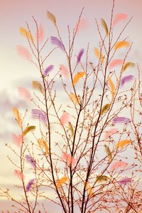 Whimsical Spring Branches by Christina Sillen