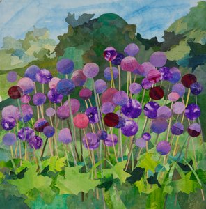 Alliums Large, 2024