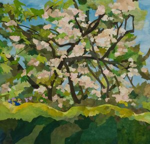 Cornerways Apple Tree, 2019