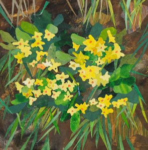 Southolt Primroses, 2025