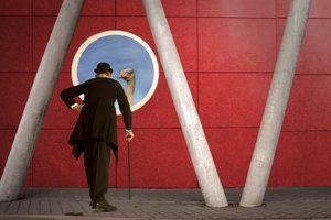 Gentleman And Ostrich