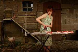 Quirky Farm Ironing