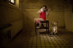 Quirky Room Serenade