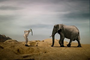 Surreal Desert Encounter by Christine von Diepenbroek