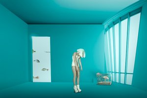 Caging by Christine von Diepenbroek