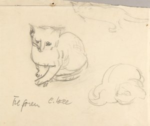 Cats