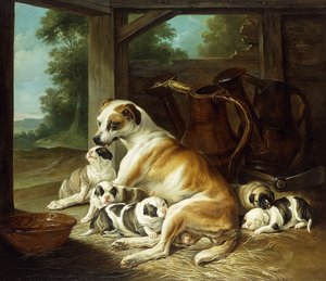 A Mother with Her Puppies