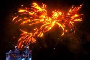 Fiery Phoenix Rising