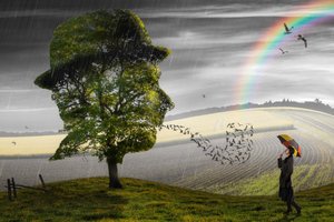 Surreal Rain and Hope