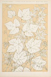 Leaves from Nature, 1868 by Christopher Dresser