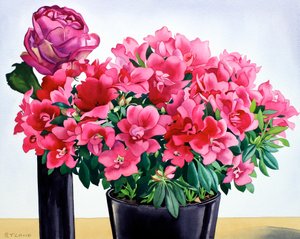 Azalea Rose