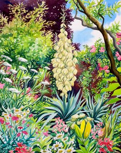Garden with Flowering Yucca