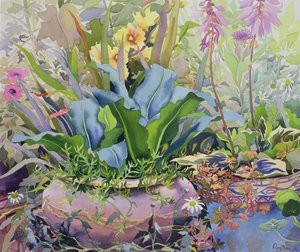 Garden with Plants, 2000 by Christopher Ryland
