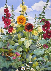 Hollyhocks and Sunflowers, 2003 by Christopher Ryland