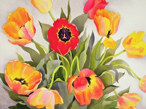 Orange and Red Tulips by Christopher Ryland
