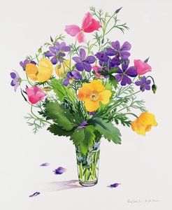 Poppies and Geraniums