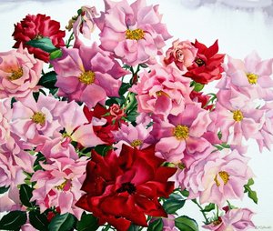 Red and Pink Roses, 2008