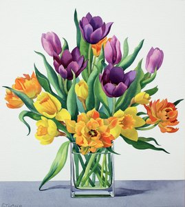 Spring Flowers