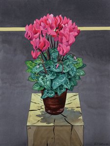 Still Life Cyclamen by Christopher Ryland