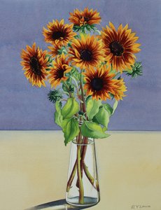 Sunflowers
