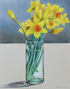 Supermarket Daffodils by Christopher Ryland