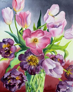 Tulips
