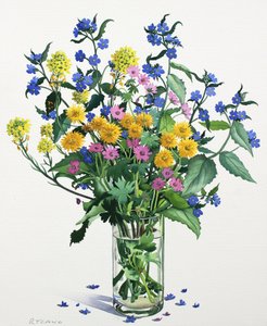 Wild Flowers with Alkanet by Christopher Ryland