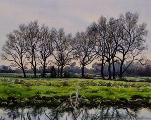 Winter Trees by Christopher Ryland