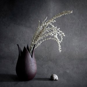 Dark Botanical Still Life by Cicek Kiral