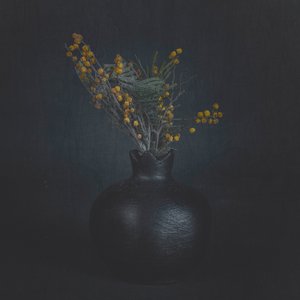 Dark Floral Still Life by Cicek Kiral