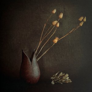 Dark Rustic Botanicals by Cicek Kiral