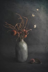 Dark Still Life Butterflies by Cicek Kiral