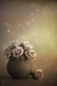 Dreamy Pastel Roses by Cicek Kiral